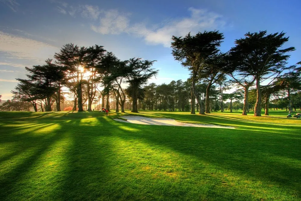 TPC Harding Park golf course